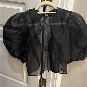H&M Sheer Black Puff Sleeve Blouse